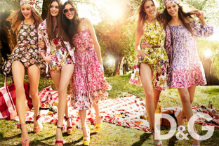 D&G Collection